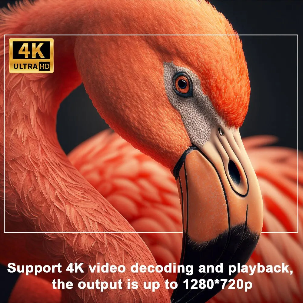 CineCube ProX 4K